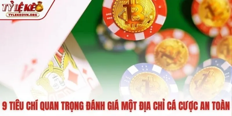 Hướng dẫn nhận diện một top nhà cái uy tín đáng tin cậy