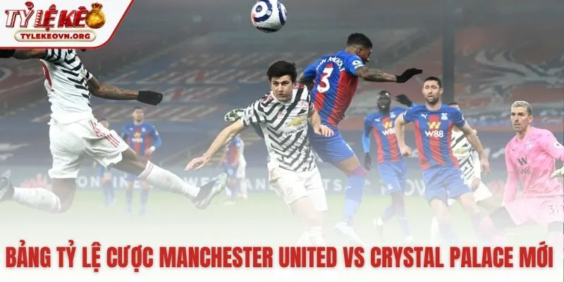 Bảng cược tổng hợp các con số kèo đấu quan trọng