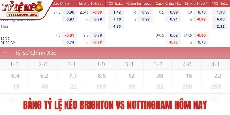 Mức cược chấp -0.75 phản ánh lợi thế sân nhà Brighton