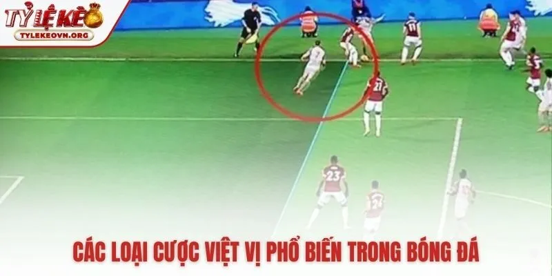 Tổng hợp các dạng kèo ngoài tài xỉu