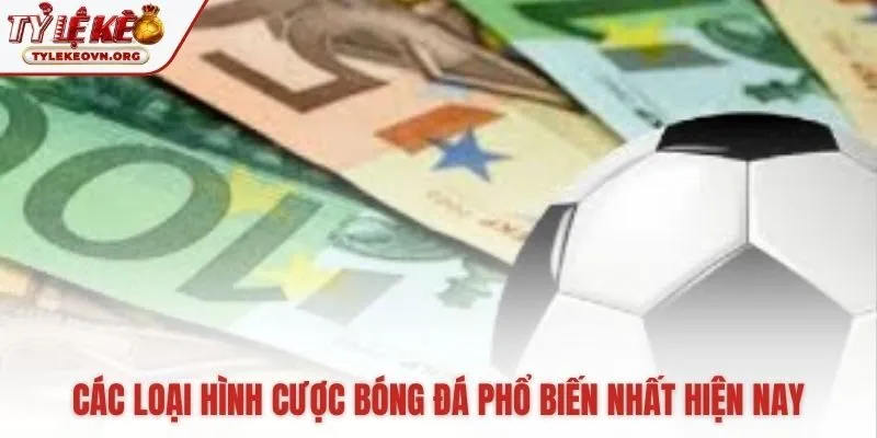 Các loại cược phổ biến gồm Kèo Chấp Châu Á 1X2 và Tài Xỉu