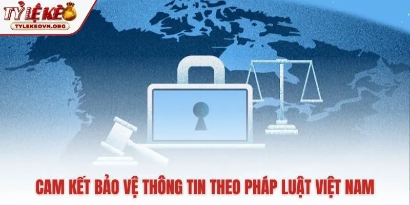 Nền tảng pháp lý bảo vệ quyền riêng tư người dùng