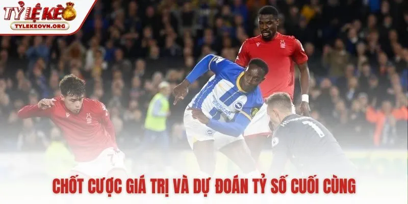 Đặt niềm tin vào Brighton -0.75 và cửa Xỉu 2.75