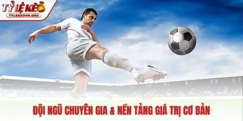 Đội ngũ chuyên gia nền tảng cho sự uy tín của chúng tôi
