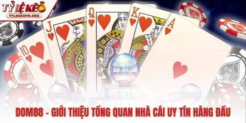 Dom88 khẳng định vị thế uy tín hàng đầu châu Á
