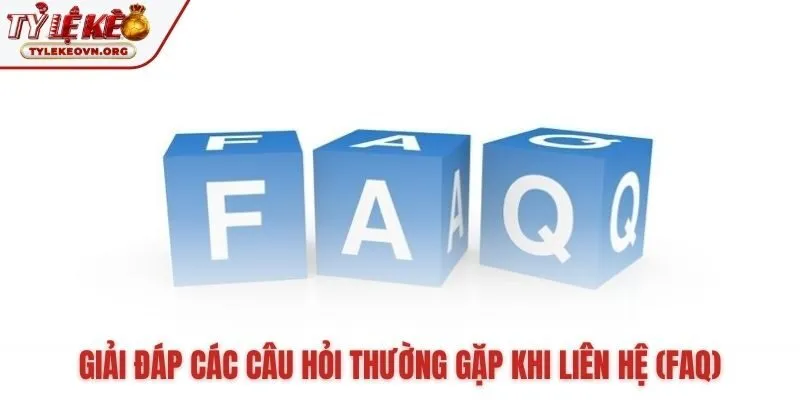 Những câu hỏi phổ biến khi cần liên hệ hỗ trợ