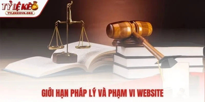 Giới hạn pháp lý về độ chính xác và rủi ro người dùng