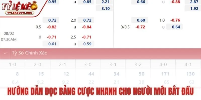 Đọc hiểu ý nghĩa các cột thông tin chính trên bảng tỷ lệ