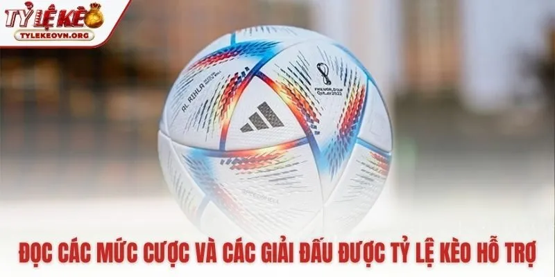 Giải thích các loại cược góc phổ biến cho người mới