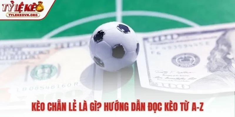 Hiểu kèo chẵn lẻ là gì từ ký hiệu E/O đến tính tiền