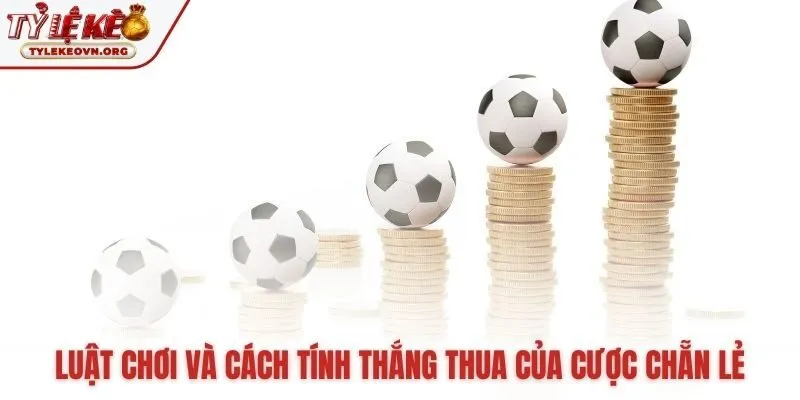 Hiểu kèo chẵn lẻ là gì qua luật chơi và cách tính thắng thua