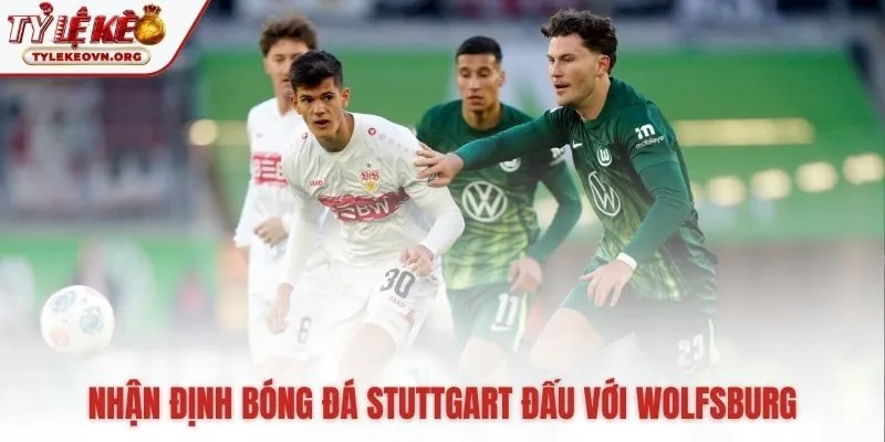 Phân tích các yếu tố then chốt định hình mức cược