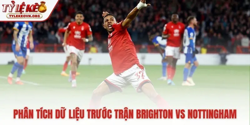 Số liệu thống kê nền tảng cho quyết định đặt cược