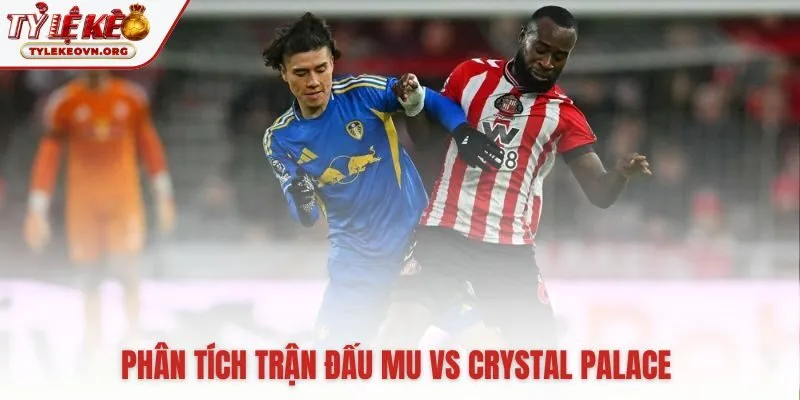 Đánh giá chuyên sâu các kèo cược tìm phương án tốt nhất