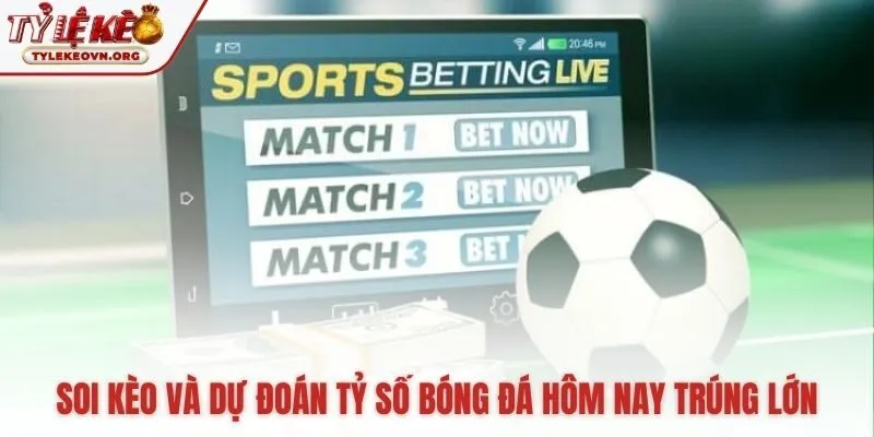 Chuyên gia dự đoán bóng đá giúp định hình kịch bản trận đấu.