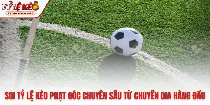 Góc nhìn chuyên gia giải mã những con số trên bảng cược