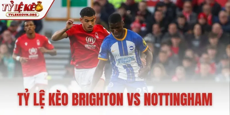 tỷ lệ kèo Brighton vs Nottingham