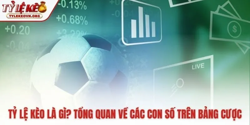 Tỷ lệ kèo thể hiện dự báo kết quả và chênh lệch thực lực