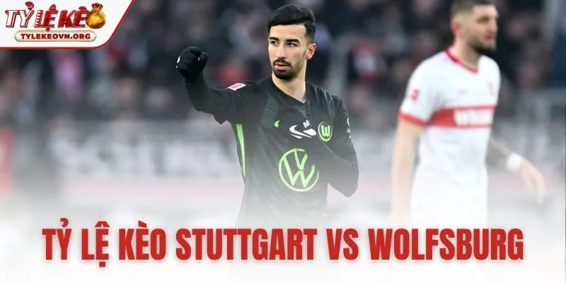 tỷ lệ kèo Stuttgart vs Wolfsburg