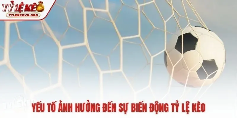 Tỷ lệ kèo biến động theo đội hình phong độ và cả dòng tiền