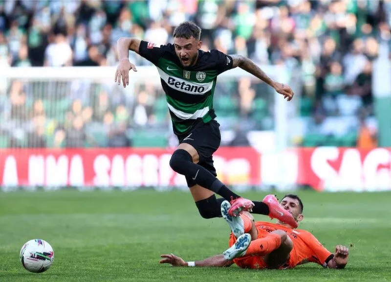 AVS khó ngăn cản được Sporting